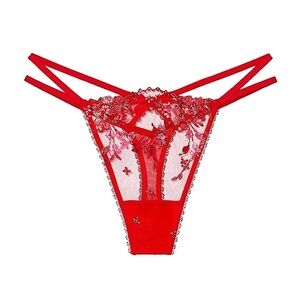 Victoria’s Secret lace shimmer jeweled charm floral embroidered thong